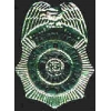 WISCONSIN STATE PATROL PIN MINI BADGE PIN